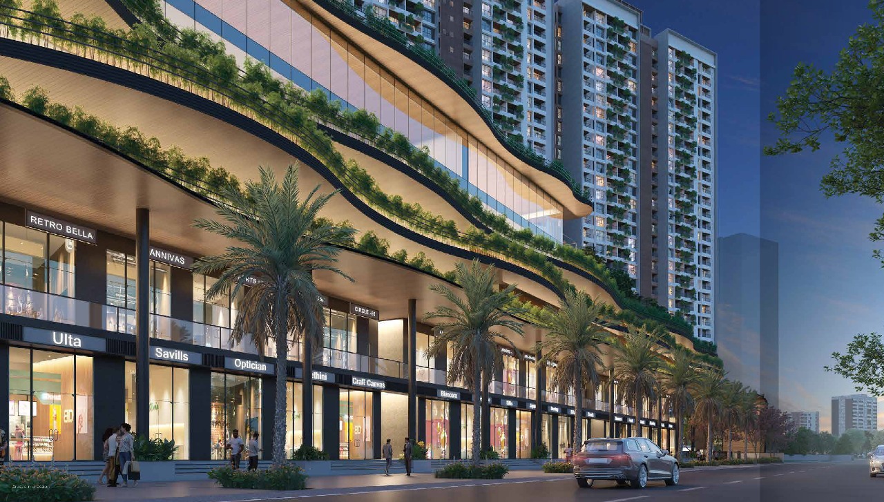 Austin Yana Highlights Image